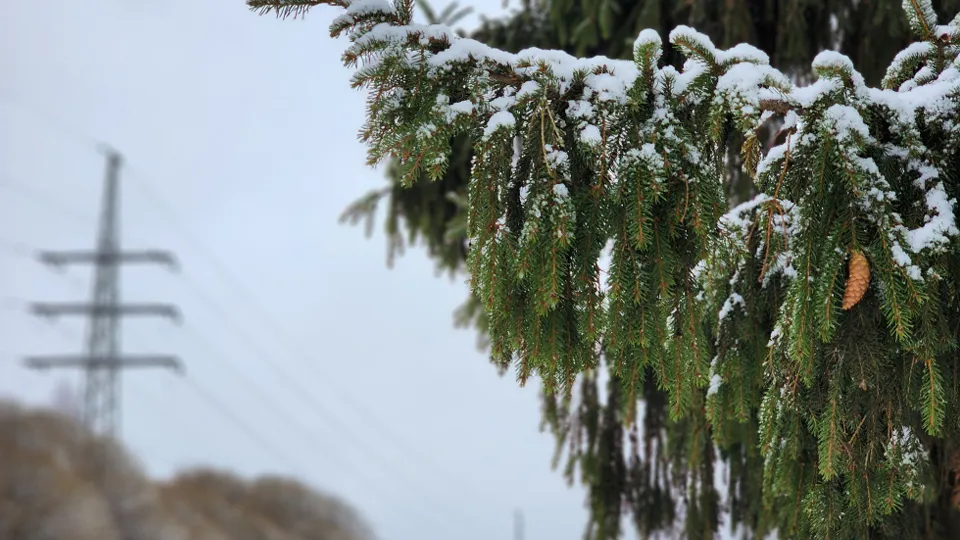 Фото: МедиаБанк Подмосковья/Екатерина Мелкозёрова