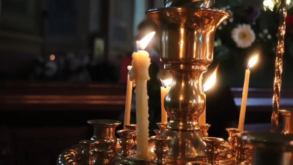 Фото: REGIONS/Василий Тремасов