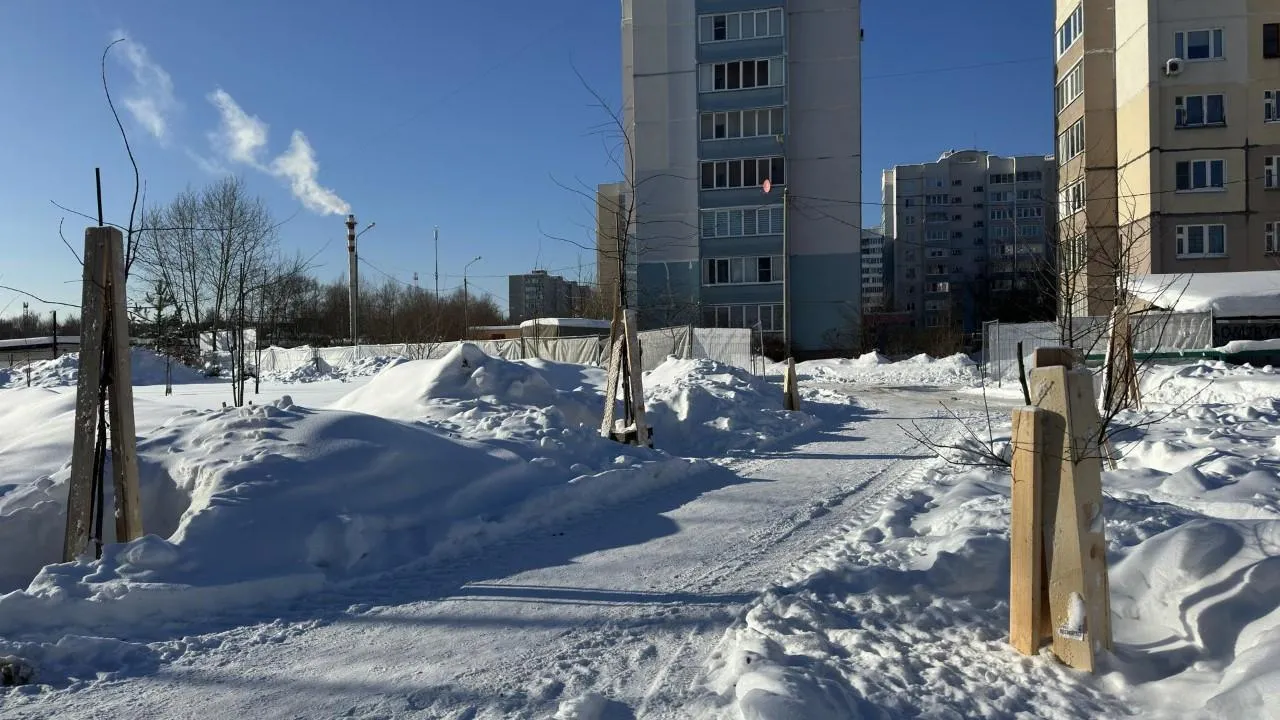 REGIONS/Кристина Тришина