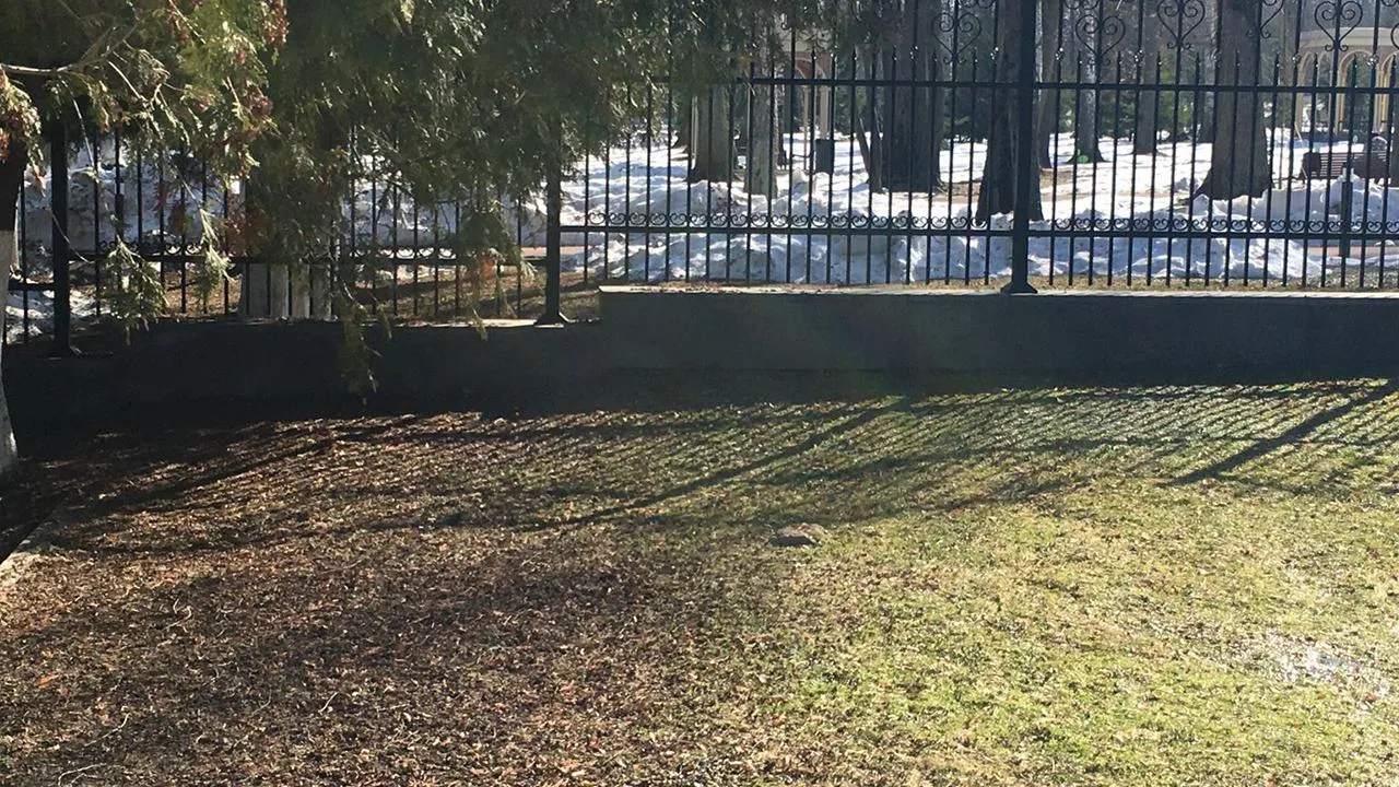 Андрей Синцов