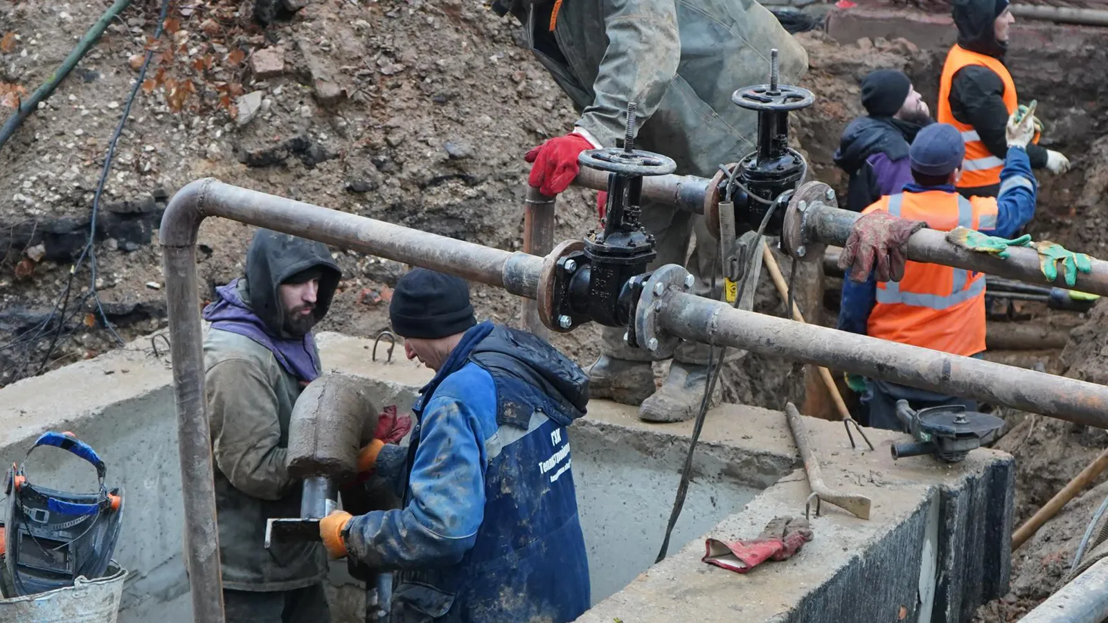 Фото: Медиабанк Подмосковья/Екатерина Елисеева