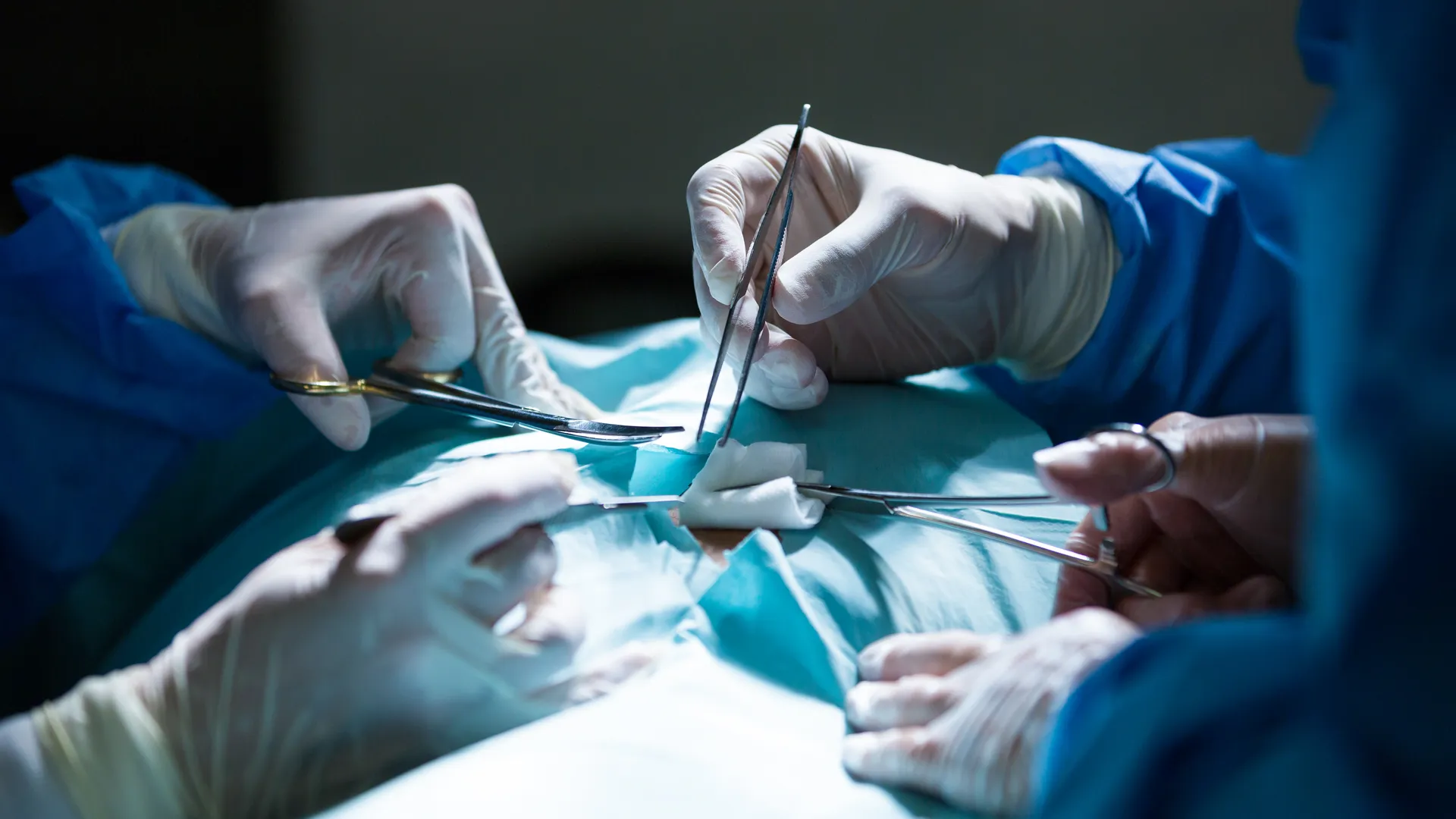 Фото: ru.freepik.com