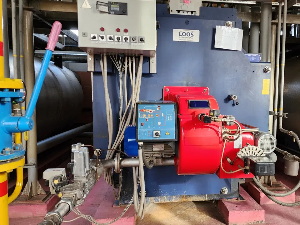 Фото: Ольга Антонова