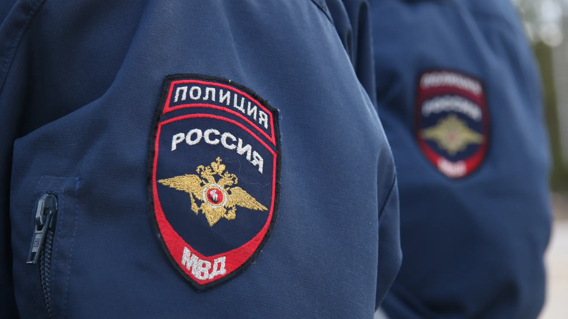 Фото: Медиаархив Подмосковья