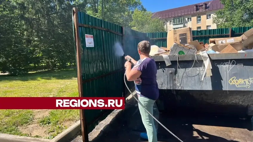 Фото: Ксения Афонина