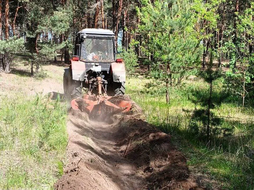 Фото: Комлесхоз Московской области