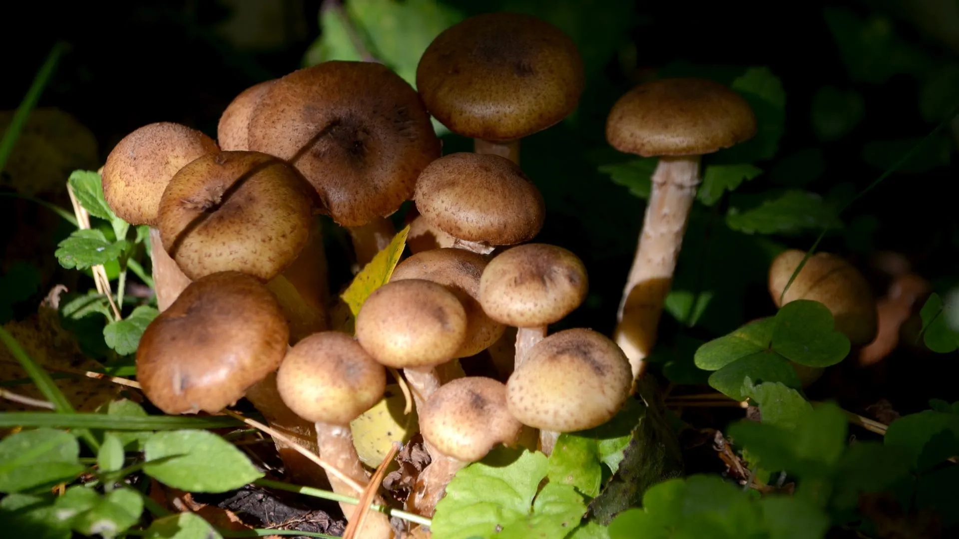 Фото catalog-photo.ru