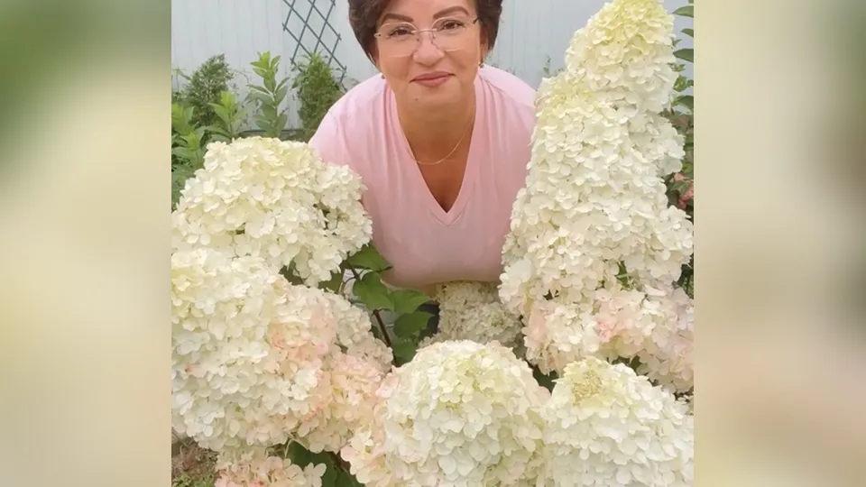 Фото: Любовь Аристархова