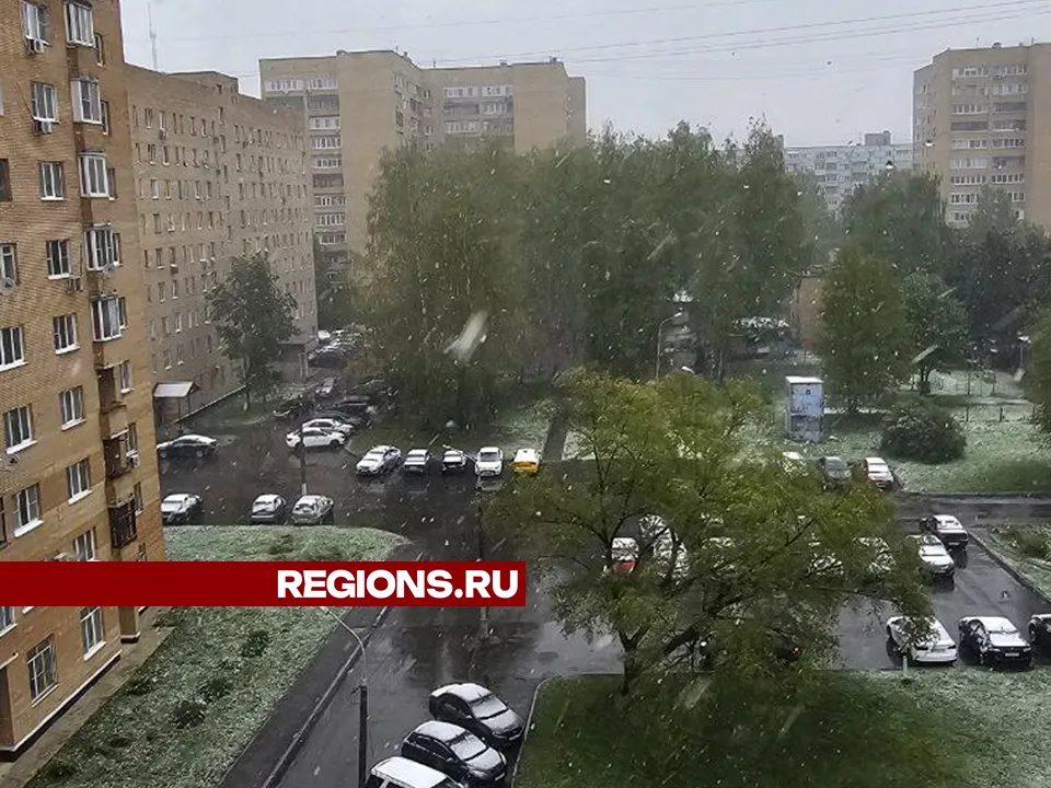 Фото: REGIONS/Ольга Тарасова<br>