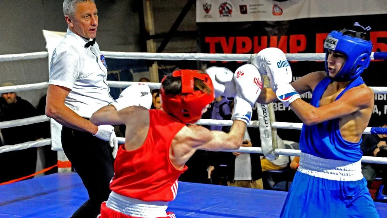 Федерация бокса Московской области