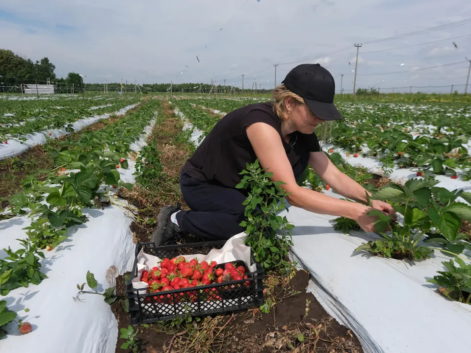 Фото: REGIONS/Мария Панина