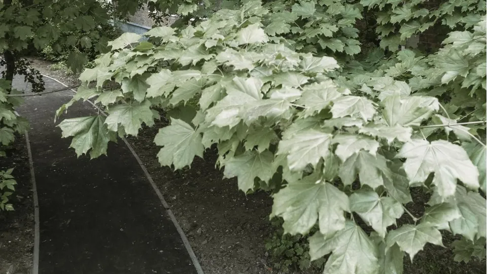 Фото: Главного управления регионального государственного жилищного надзора и содержания территорий Московской области