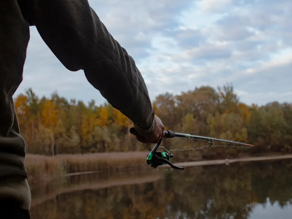 Фото: istockphoto.com/vadishzainer