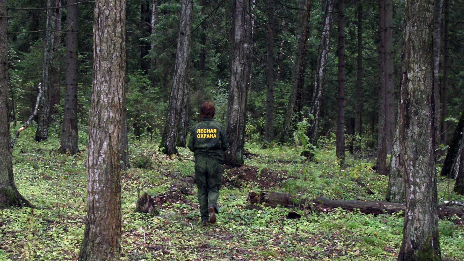 Фото: медиасток.рф