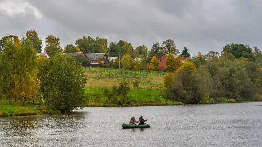 Фото: Соцсети