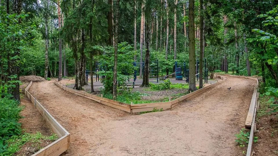 Фото: пресс-служба администрации Одинцовского г.о.