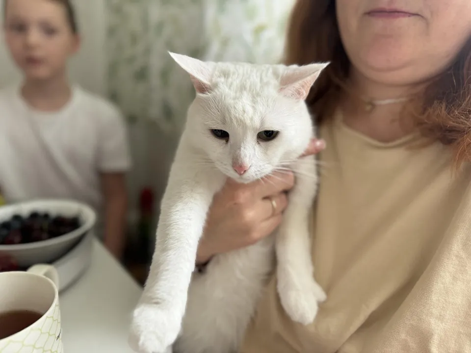 Фото: Полина Абраменко