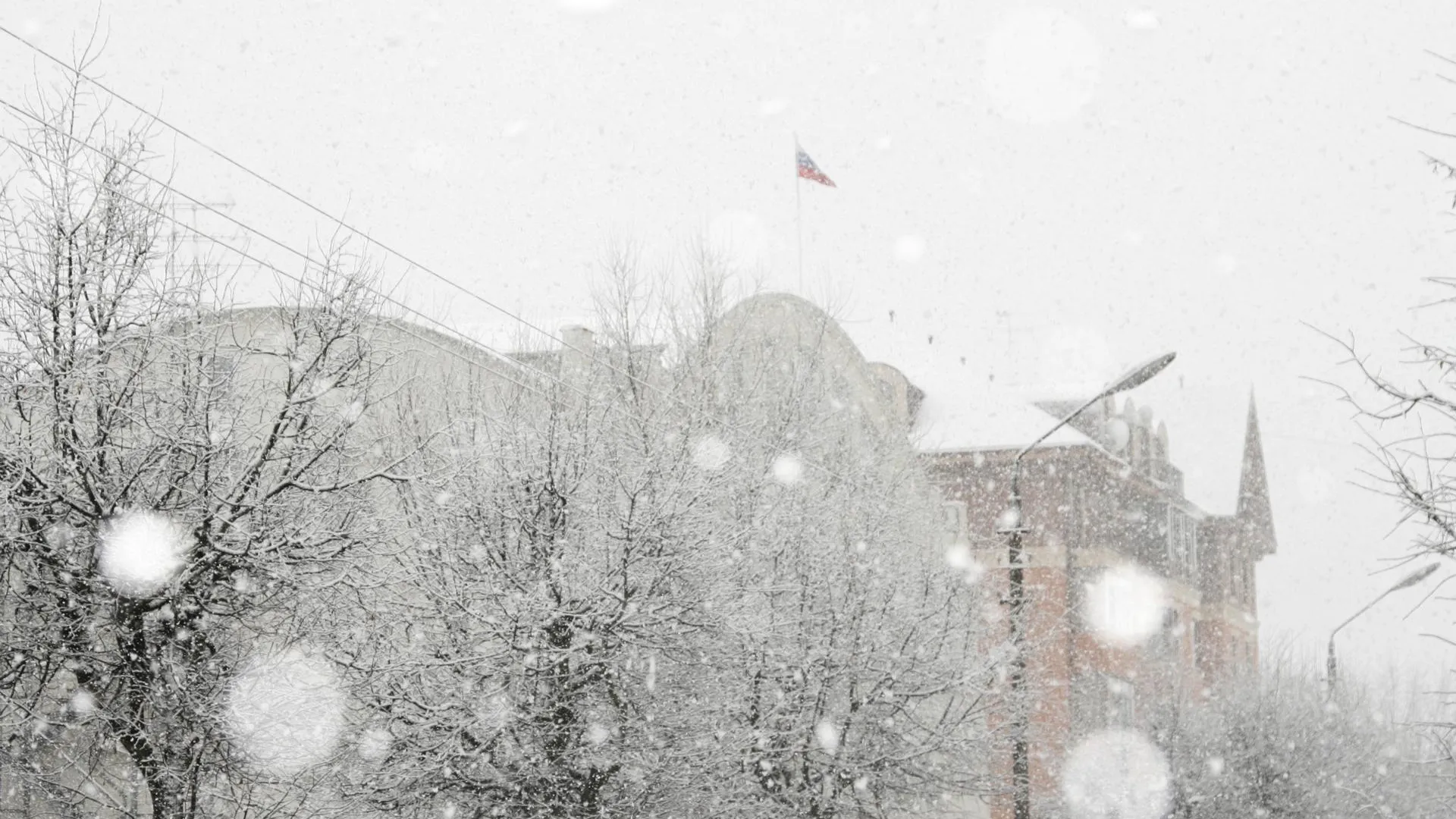 Фото: Ангелина Максимова/из архива редакции «ЗВ»