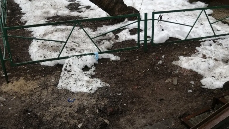 Фото: соцсети