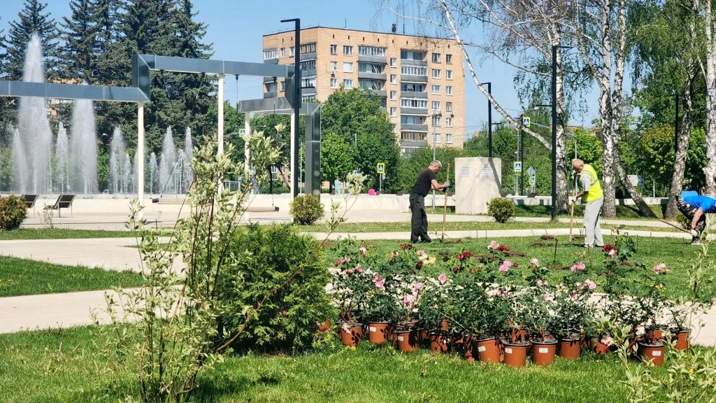 Фото: Мария Панина