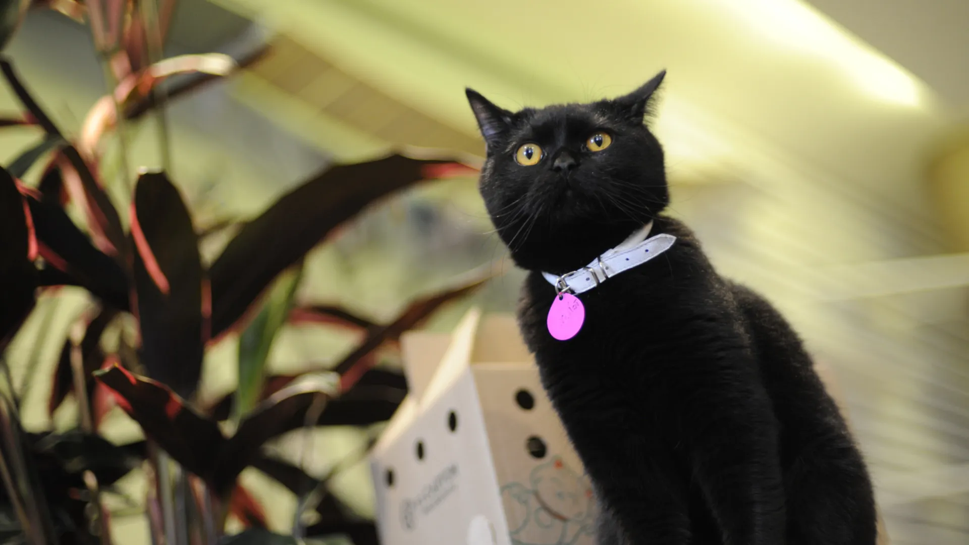 Фото: медиасток.рф