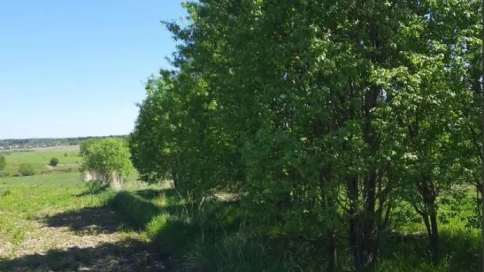 Фото: Единый портал торгов Московской области ЕАСУЗ