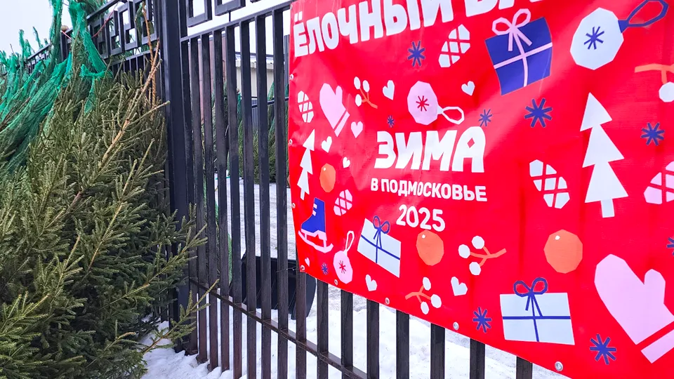 Фото: МедиаБанк Подмосковья/Ольга Антонова
