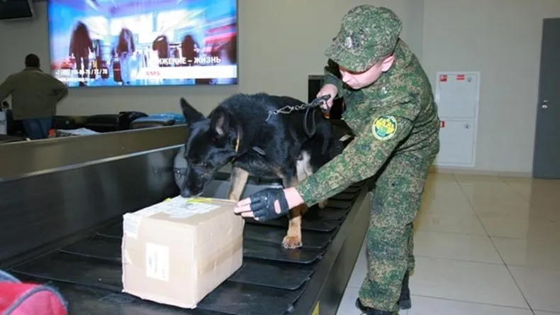 Пресс-служба Шереметьевской таможни