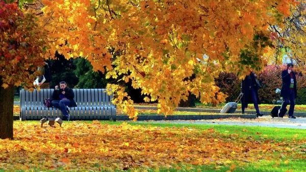 До 14 градусов тепла ожидается в столичном регионе в субботу