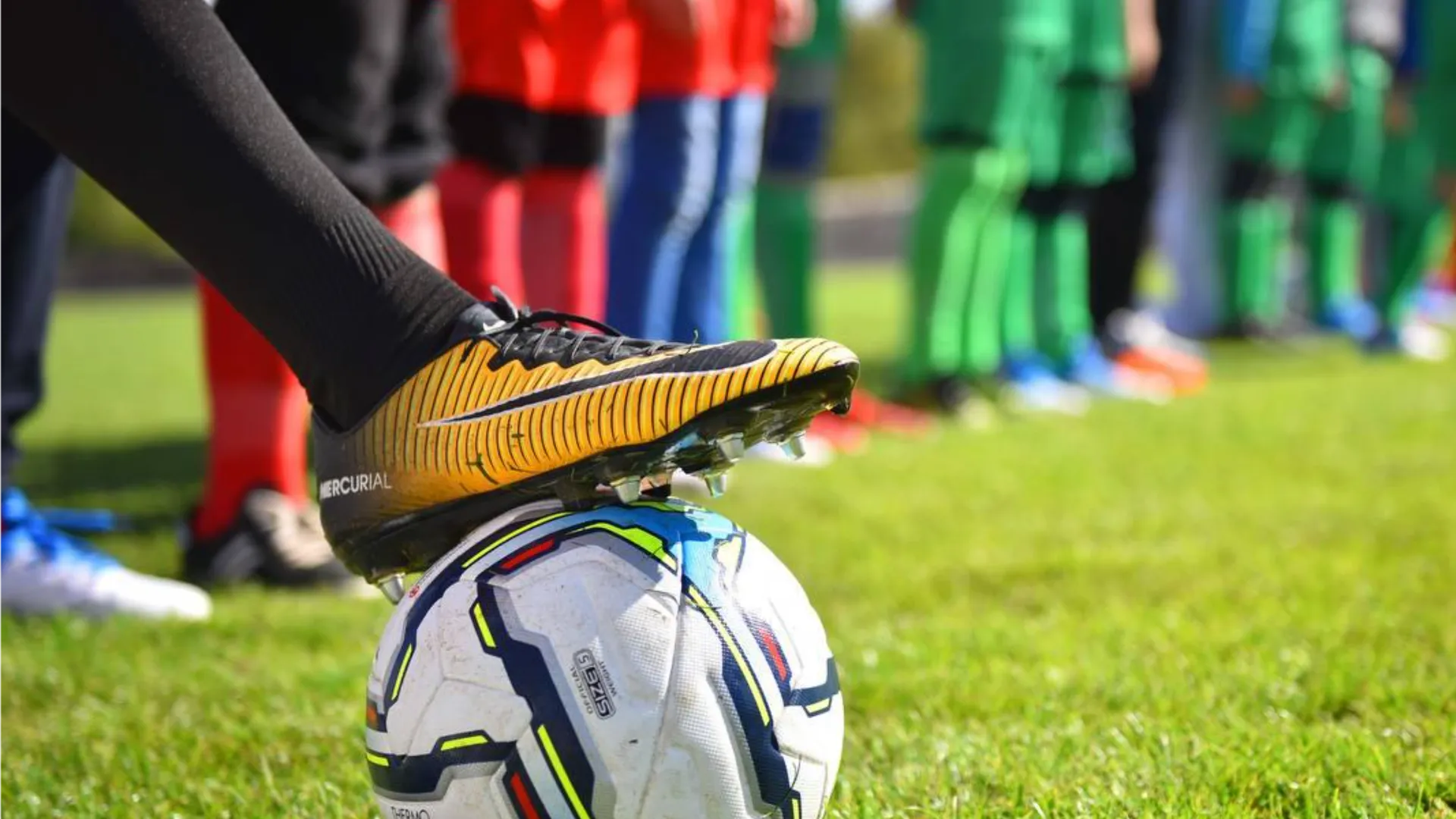 Фото: пресс-служба администрации г.о. Химки