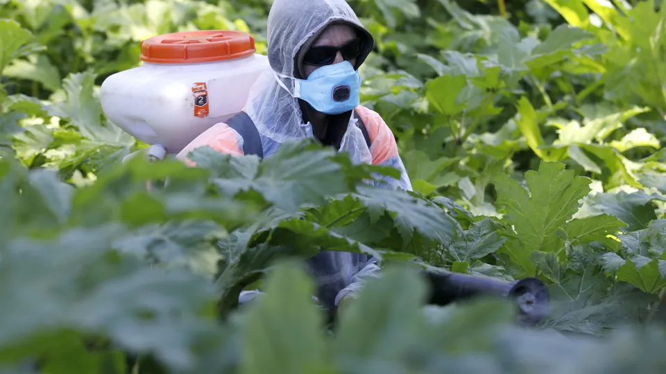 Фото: ТАСС/Михаил Почуев