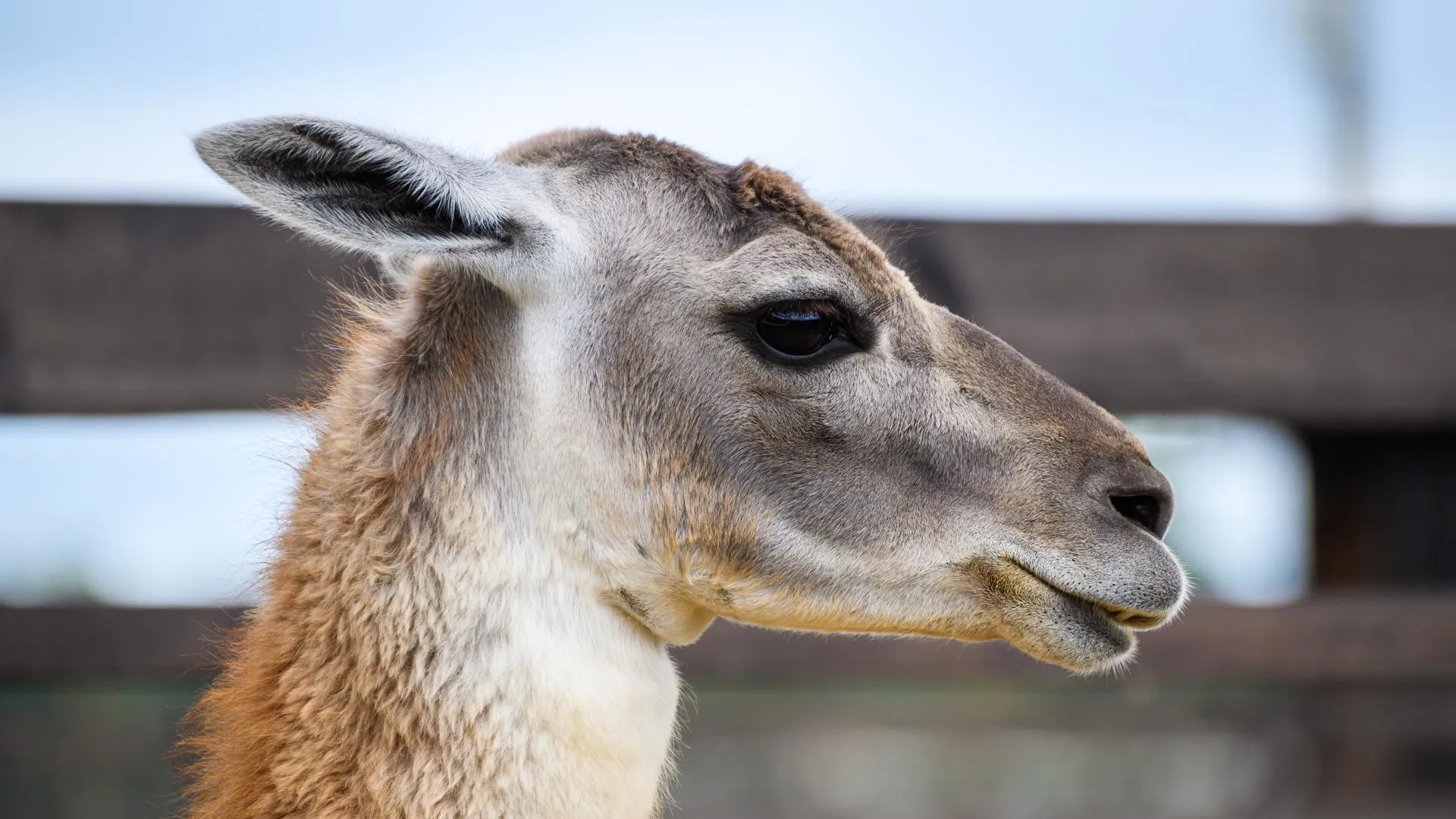 медиасток.рф