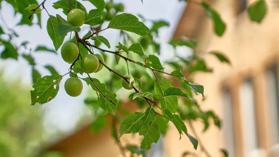 Фото: Министерство жилищно-коммунального хозяйства Московской области