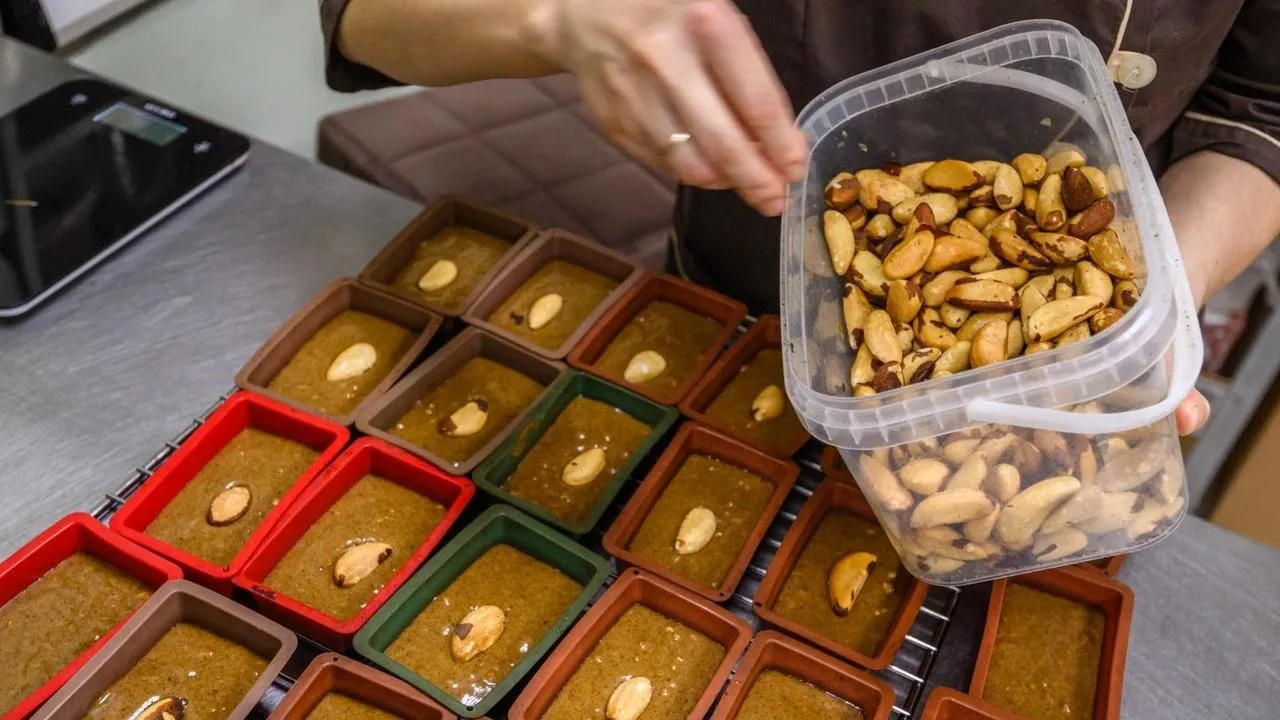 медиасток.рф