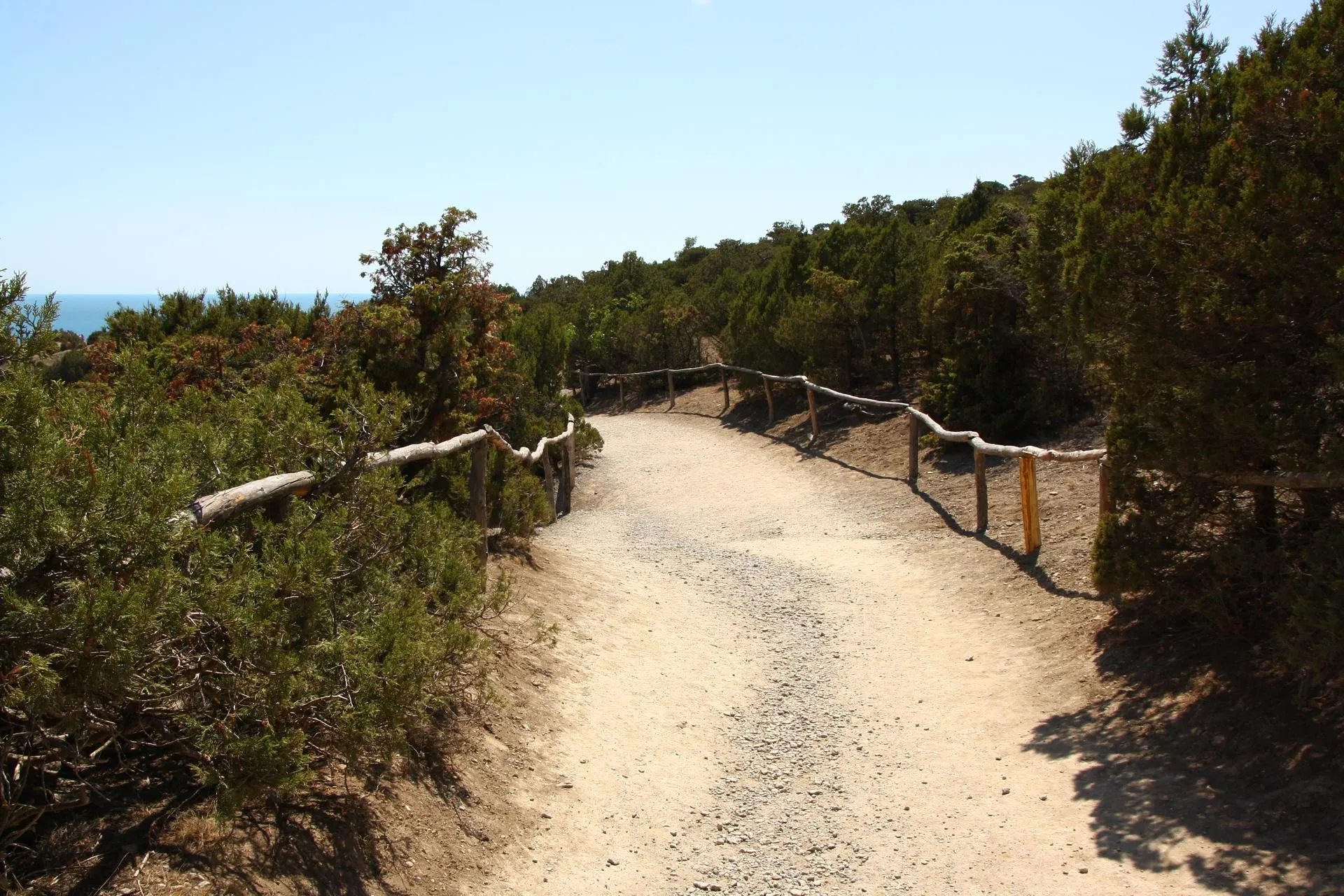 Фото корреспондента "Котельники сегодня"