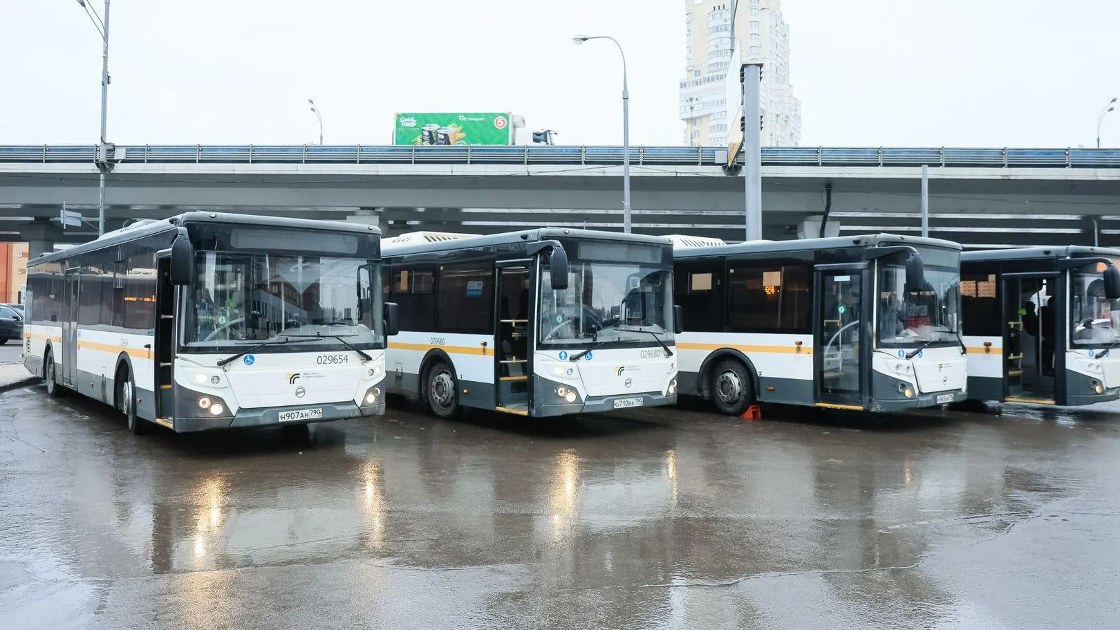 Фото: Константин Семенец