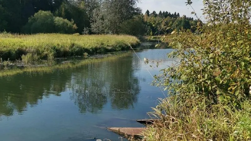 Фото Минэкологии МО.