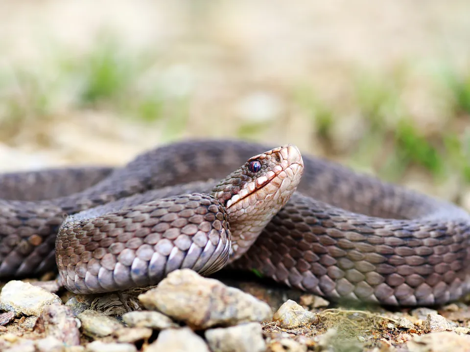 Фото: istockphoto.com