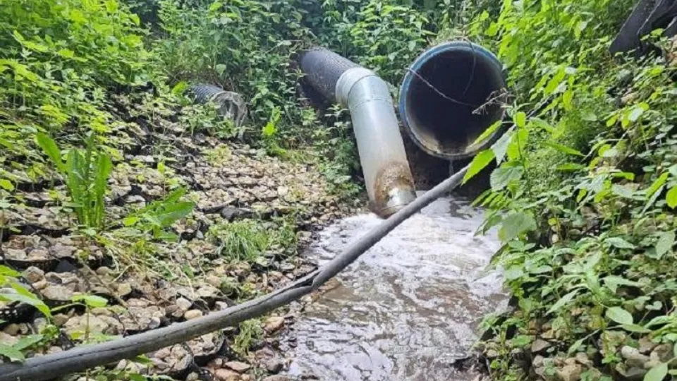 Фото: Минэкологии МО