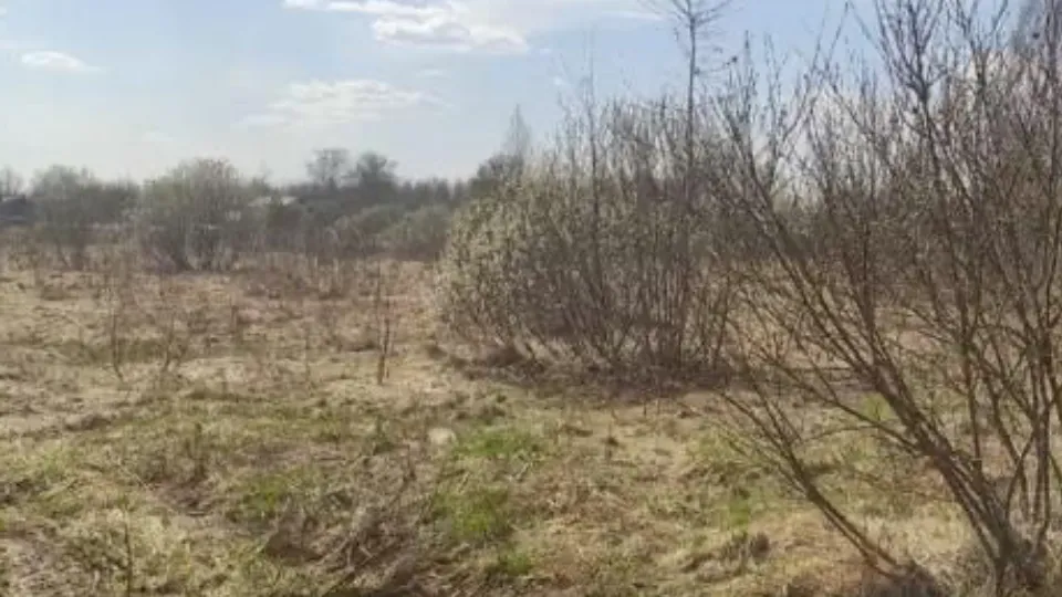 Фото: Комитет по конкурентной политике Московской области