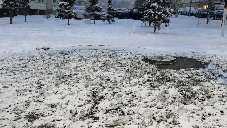 Фото: пресс-служба администрации Одинцовского г.о.