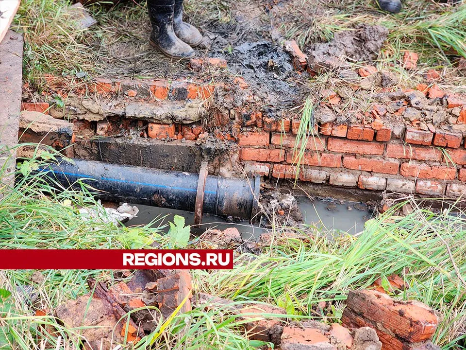 Фото: Светлана Плотникова