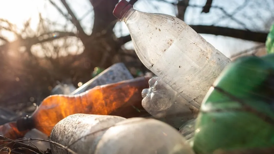 Фото: freepik.com