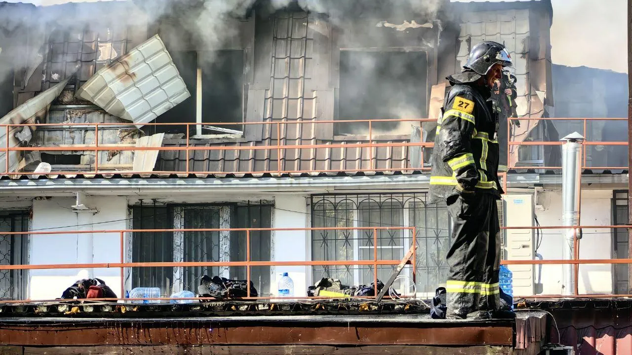 Елена Катасонова