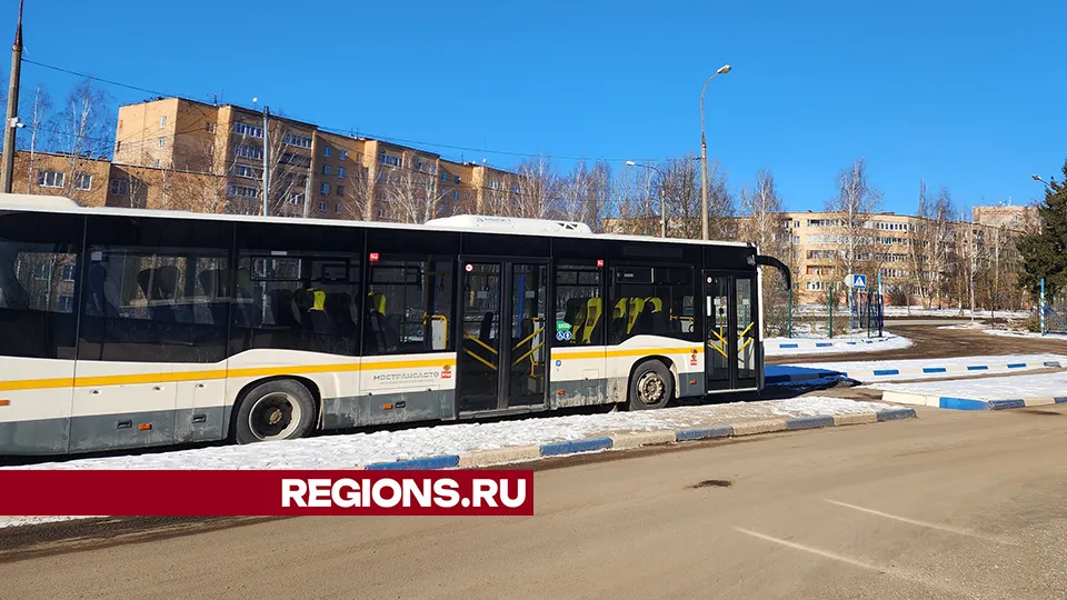 Фото: МедиаБанк Подмосковья/Екатерина Мелкозерова