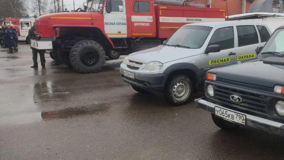 Фото: Комитет лесного хозяйства Московской области