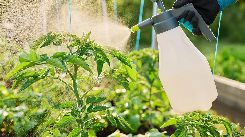 Фото: istockphoto.com