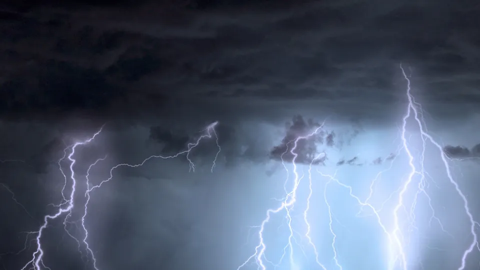 Фото: pxhere.com