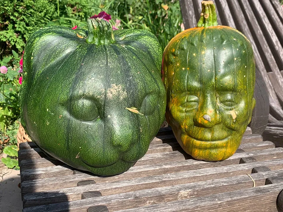 Фото: Екатерина Елисеева