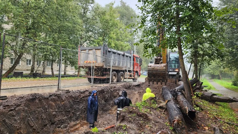 Фото: МедиаБанк Подмосковья/Кристина Тришина